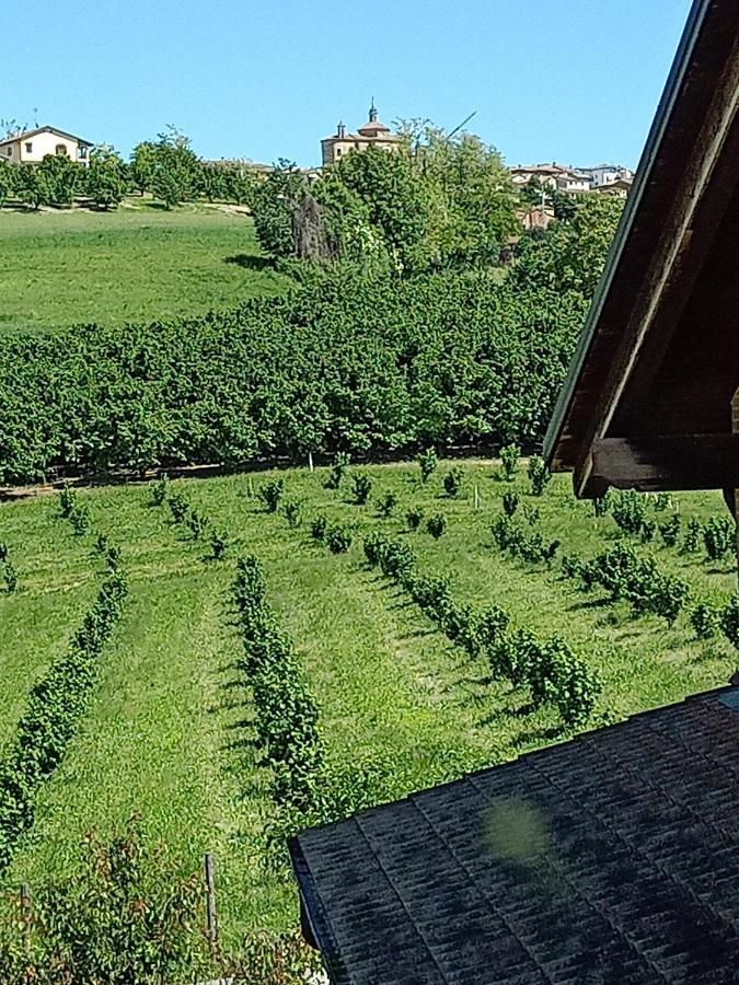 Апартаменты Vite Dipinte 1 Bilocale In Langa Новелло Экстерьер фото